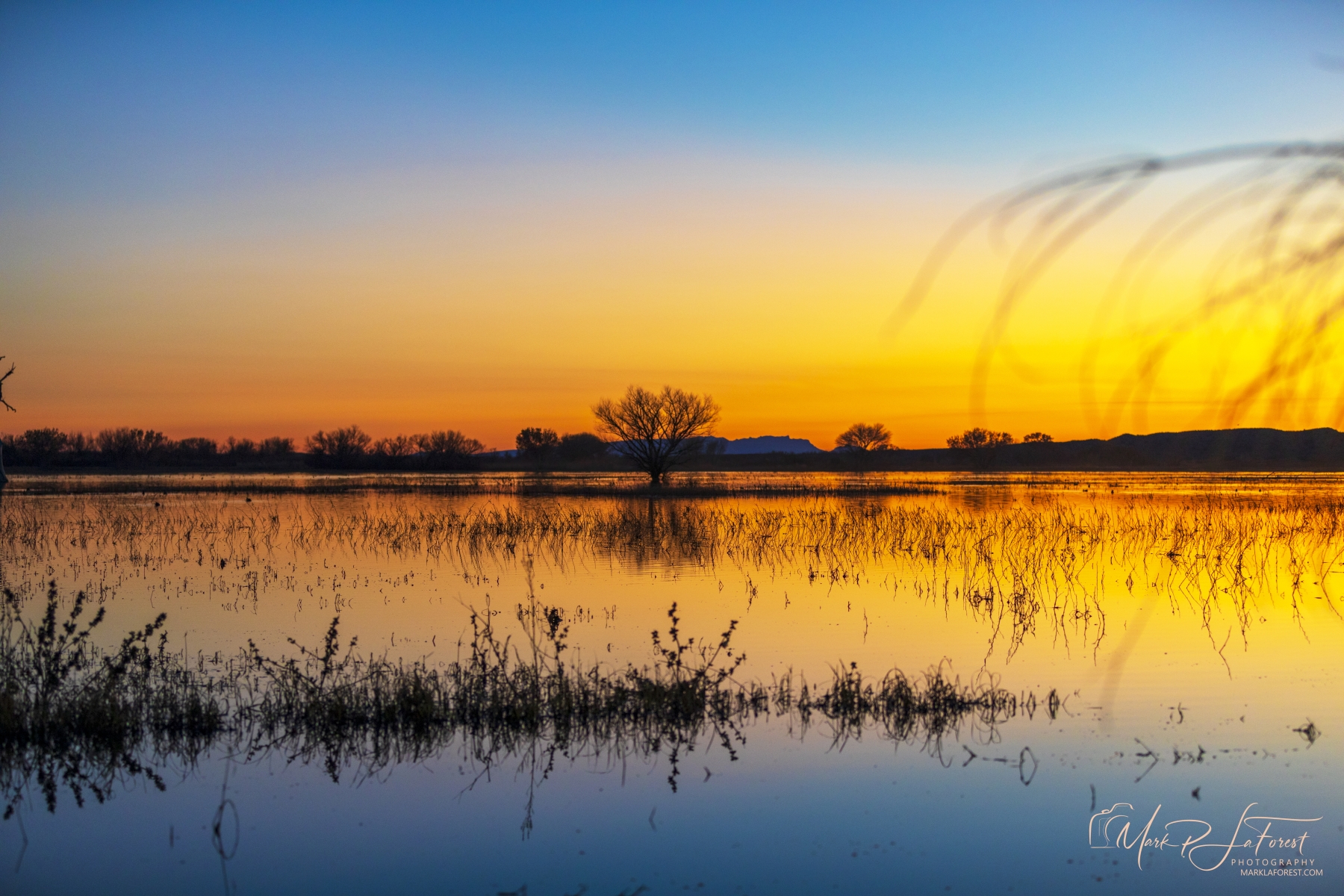 Sunset, Bosque del Apache, New Mexico